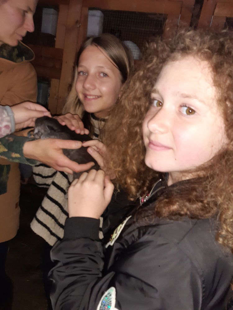 program Kmoškovi VI