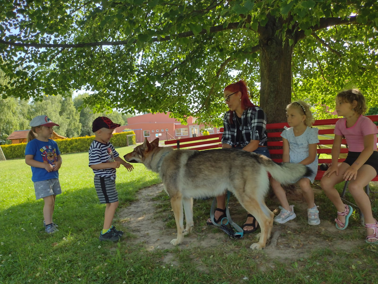 IMG_20250626_083909125_HDR