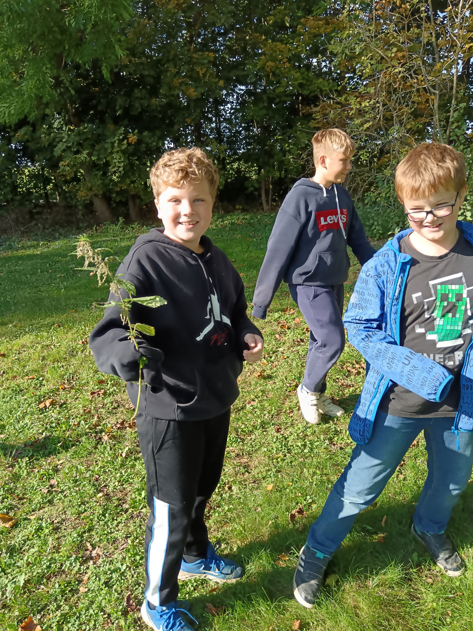 IMG_20241011_112058_1